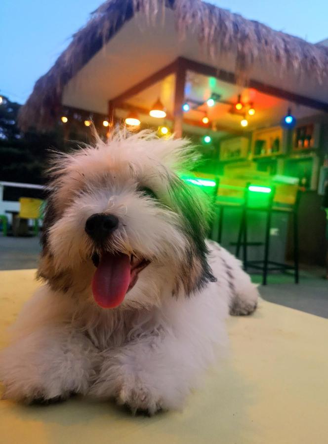 Antwet Backpacker'S Inn & Rooftop Bar Dumaguete City Экстерьер фото